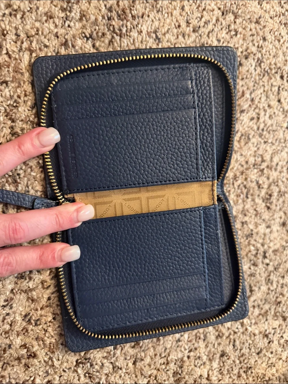 LODIS wallet